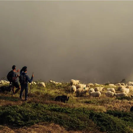 Au Graé - à Béarn *