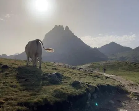 Casa vacanze Au Graé - à Béarn *