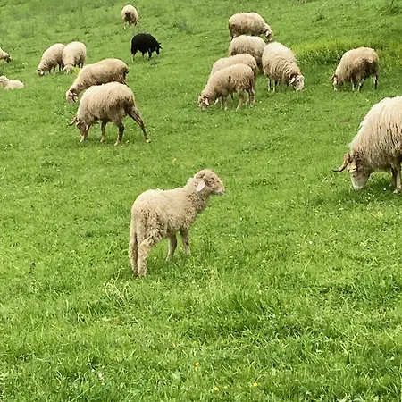 Σπίτι διακοπών Au Grae - A Bearn