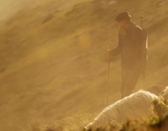 Semesterbostad Au Grae - A Bearn Laruns