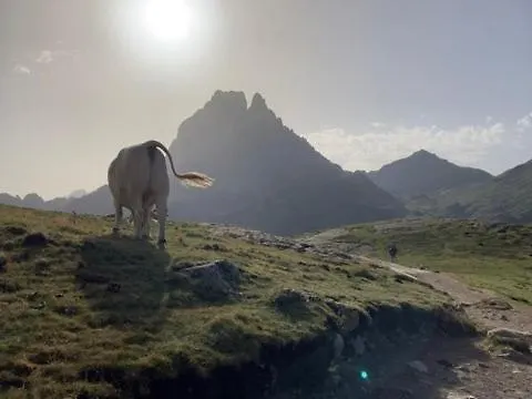 Semesterbostad Au Grae - A Bearn *